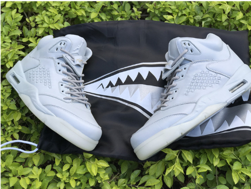 Air Jordan 5 Premium Pure Platinum